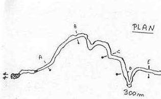 Plan landenouse copie